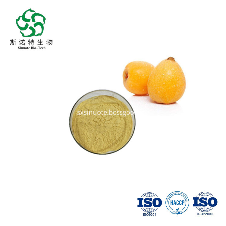 Loquat Powder Loquat Extract Powder Loquat Powder Loquat Extract Powder