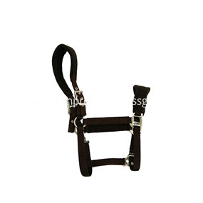 brown horse halter