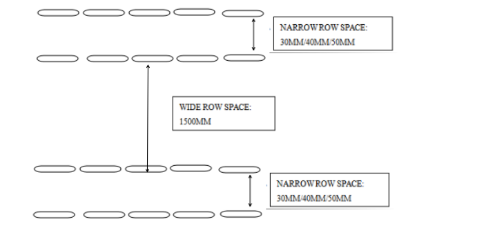 double row planter (planting one time as following) double row planter (planting one time as following)