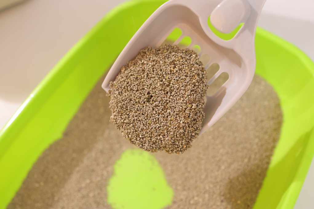 1.5mm Rose Scented Activated Charcoal Bentonite Cat Litter 1.5mm Rose Scented Activated Charcoal Bentonite Cat Litter