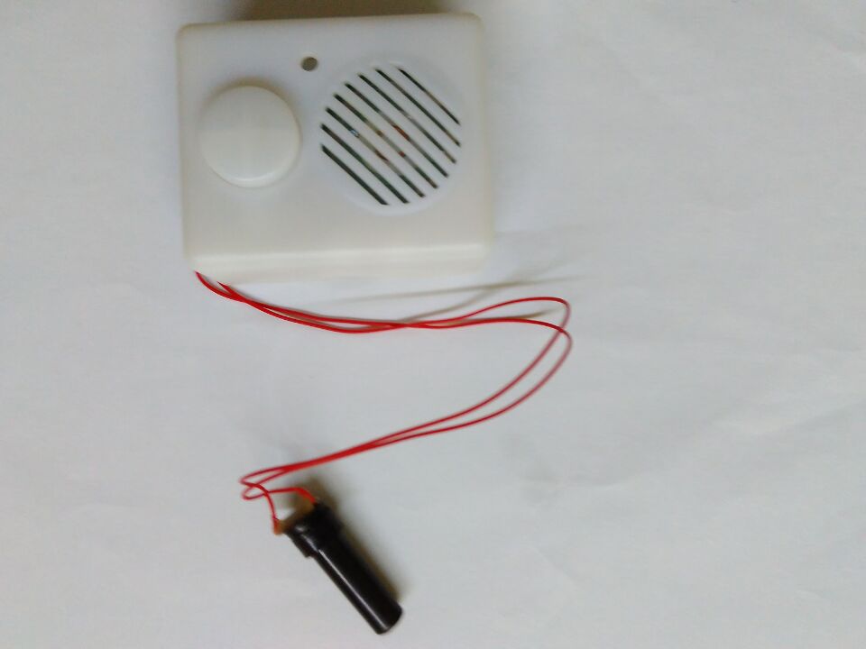 S-2038D Motion sensor voice recorder S-2038D Motion sensor voice recorder