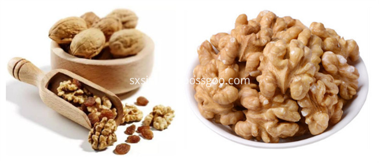 Walnut Peptide Walnut Peptide