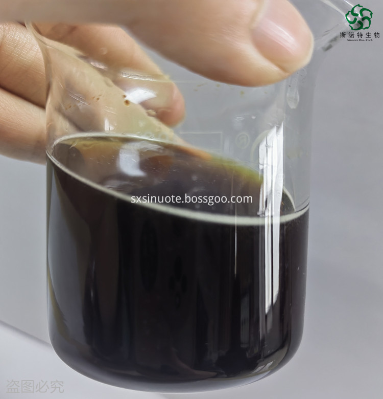 Chaga Mushroom Extract Powder Chaga Mushroom Extract Powder