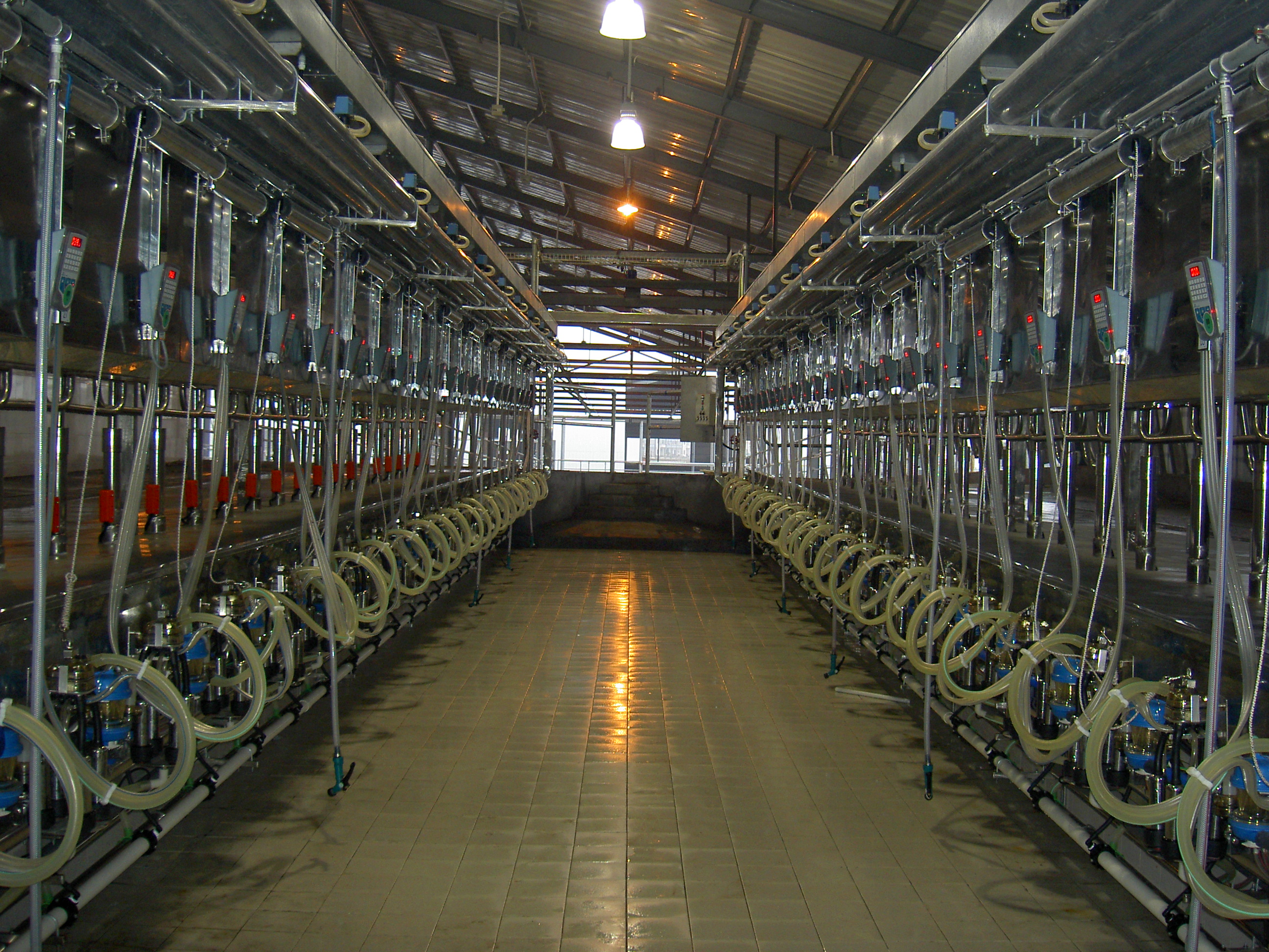 milking parlor