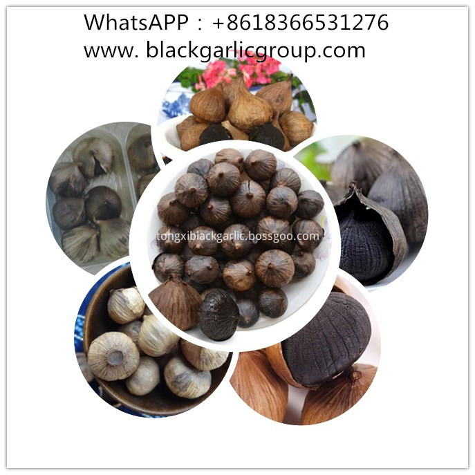 black garlic black garlic