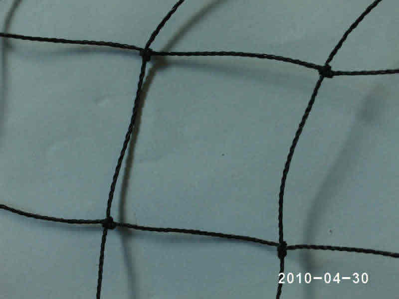 بيرد نيتينغ BIRD NETTING