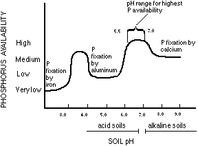 Soil conditioner