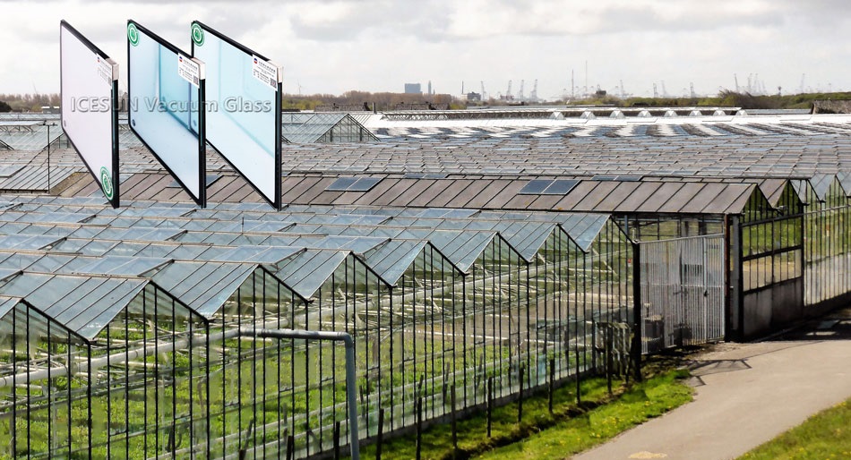 vacuum-glass-for-greenhouse-use