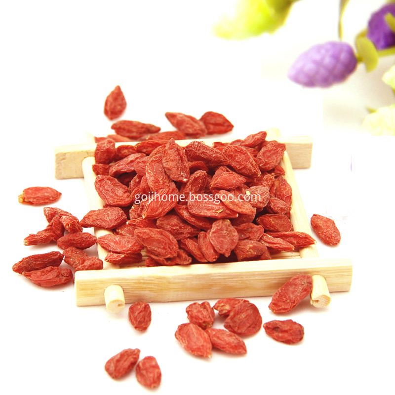 Ningxia Gojiberry Ningxia Gojiberry