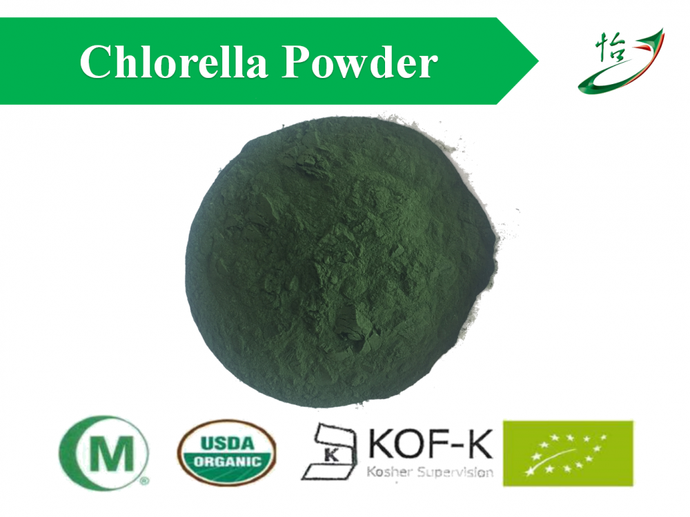 Chlorrella Powder