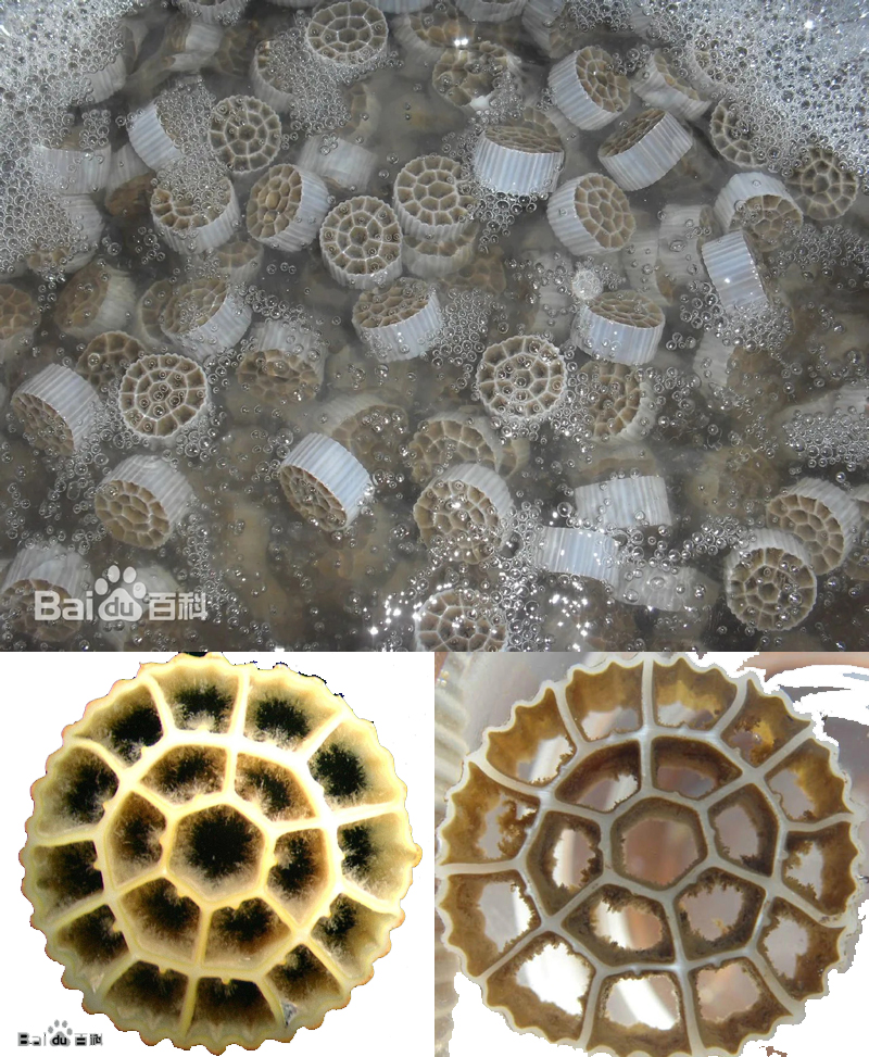 MBBR filter A MBBR filter A