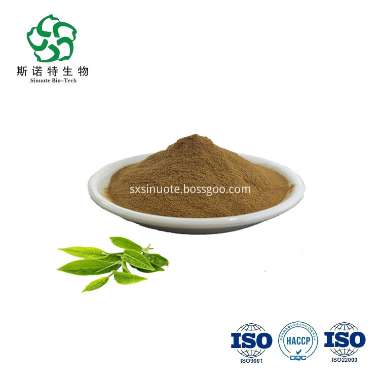 Green Tea Extract Green Tea Extract