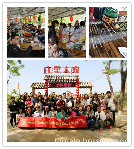 Hebei Tomato factory barbecue time