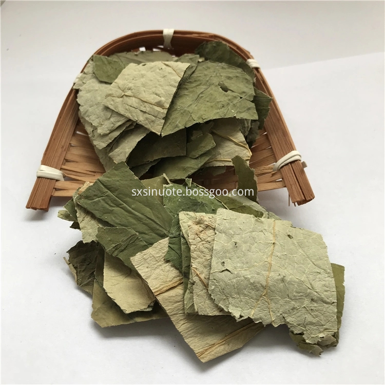 Lotus Leaf Extract Lotus Leaf Extract
