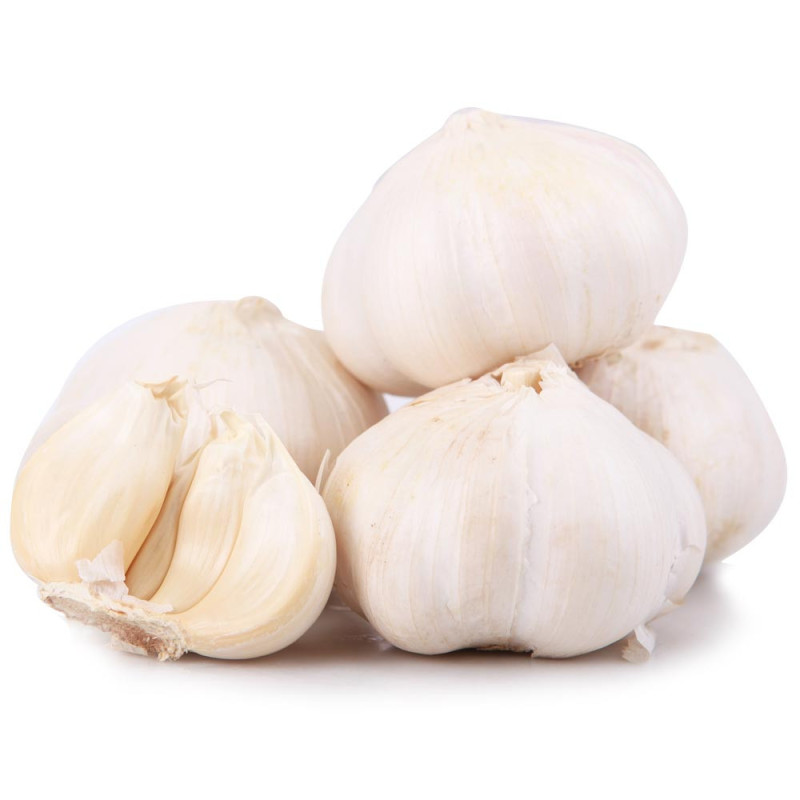 garlic garlic