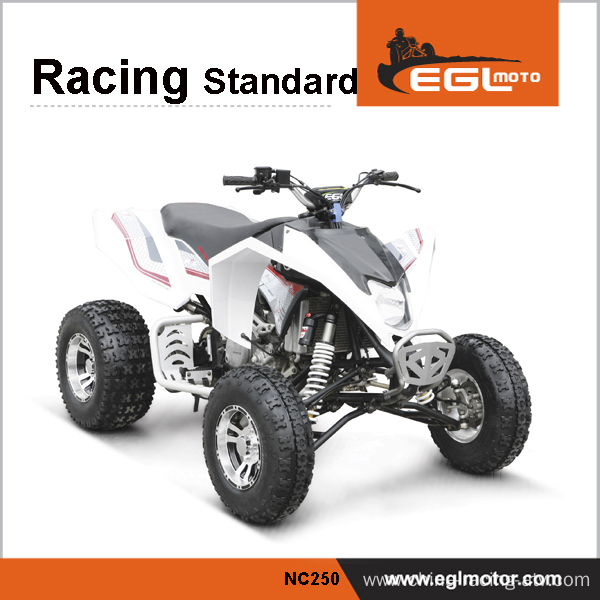 250cc ATV EEC Certificated