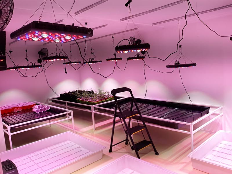 Led Grow Light For Indoor Plants