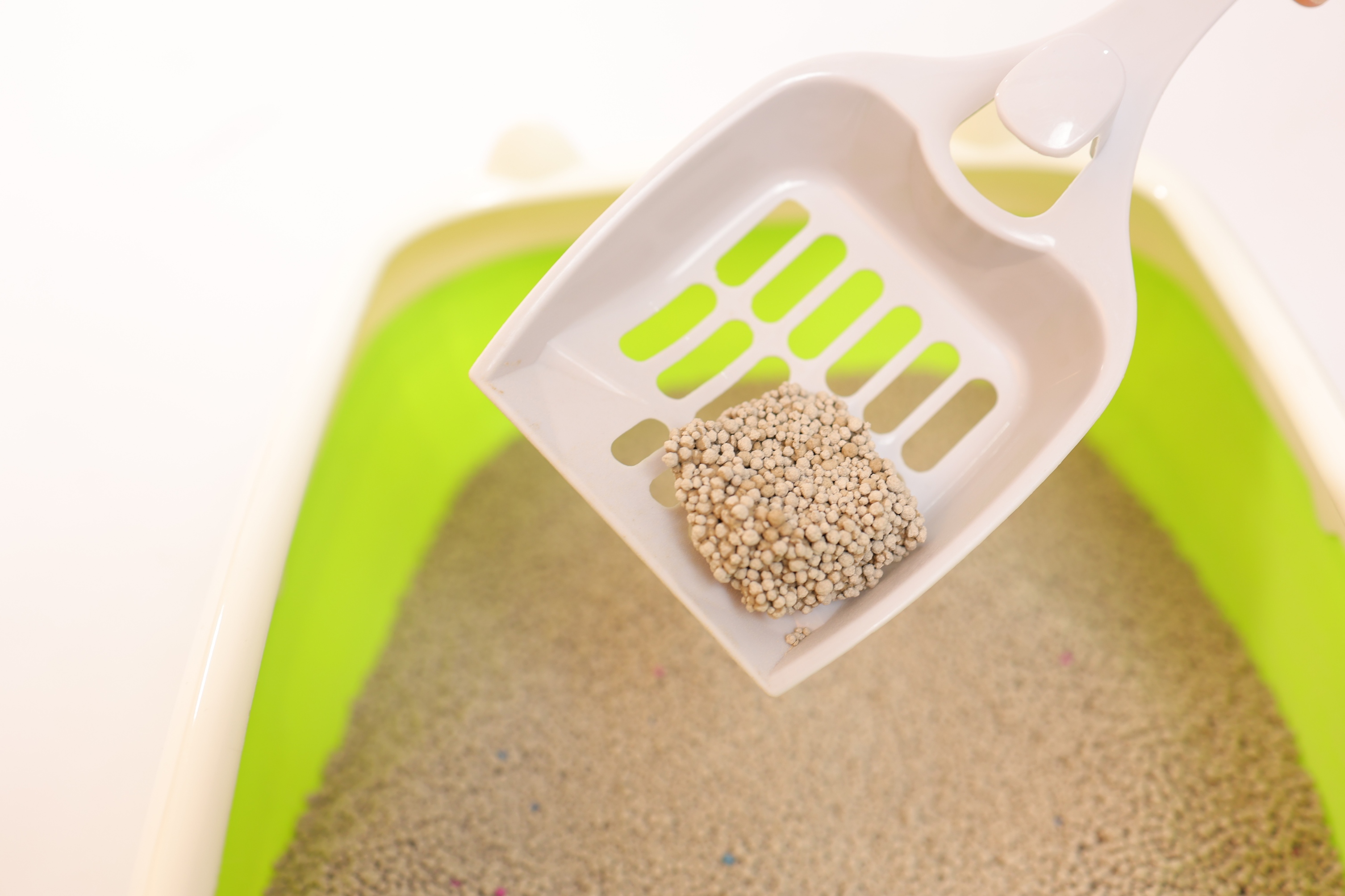 Mixed Size Coffee Scented Bentonite Cat Litter Mixed Size Coffee Scented Bentonite Cat Litter