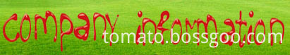 company information company information
