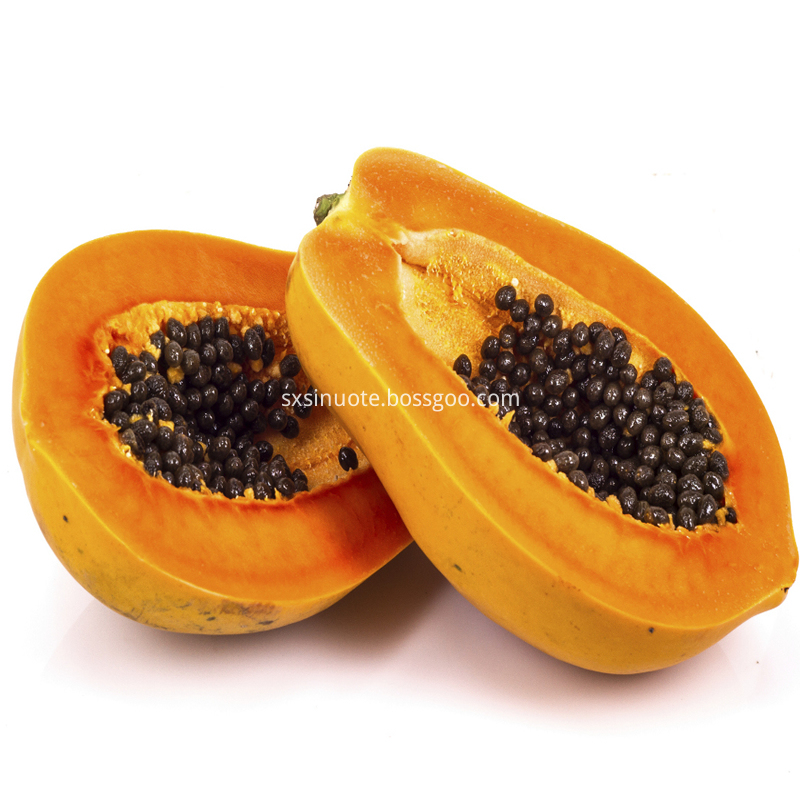 Papaya Powder Papaya Powder