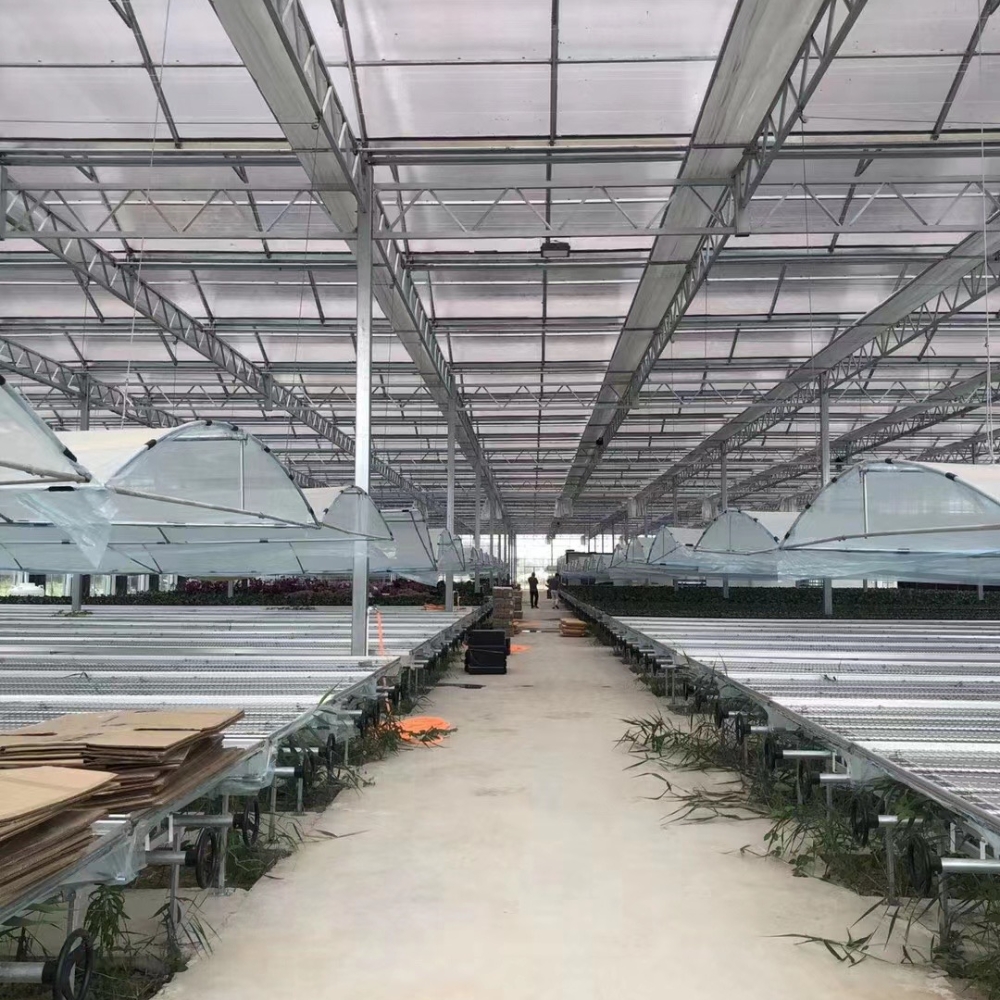 Arched Glass Greenhouse Arched Glass Greenhouse