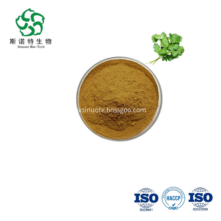 Cilantro Extract Powder Cilantro Extract Powder