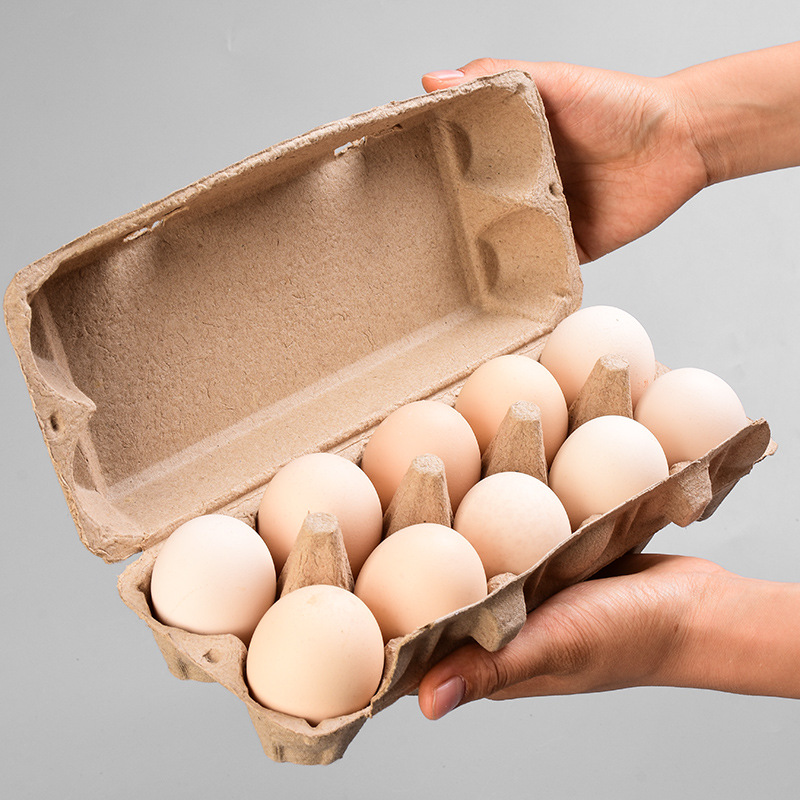 egg cartons 5