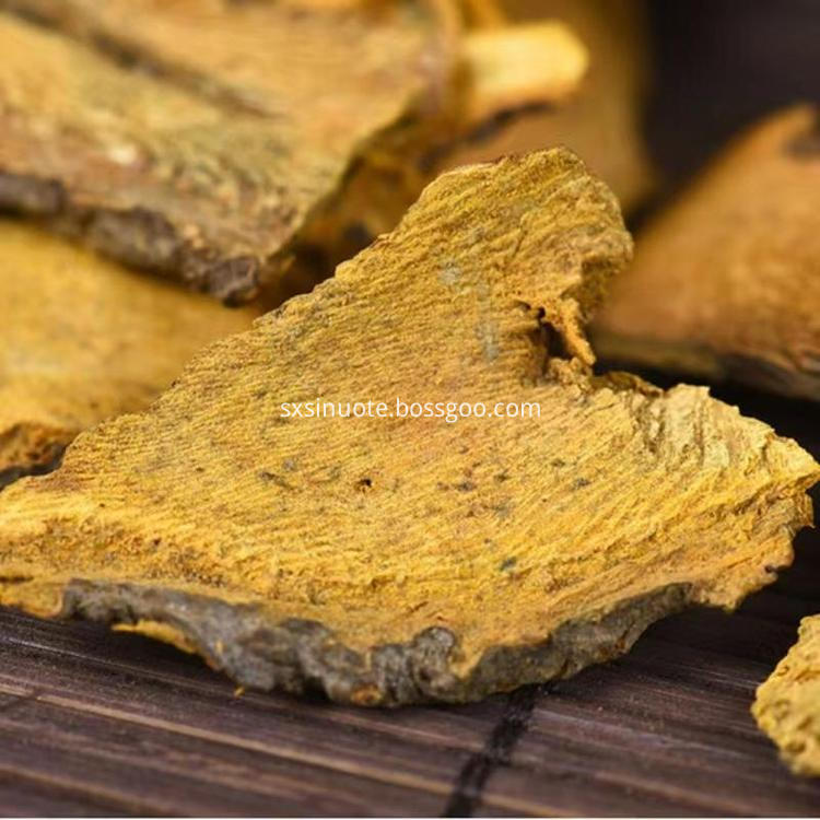 Giant Knotweed Extract Giant Knotweed Extract