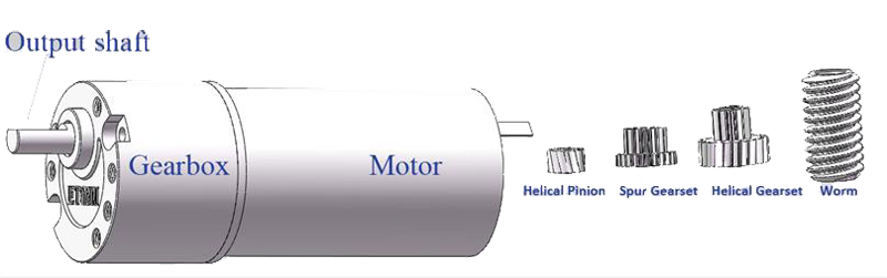 spur gear motor