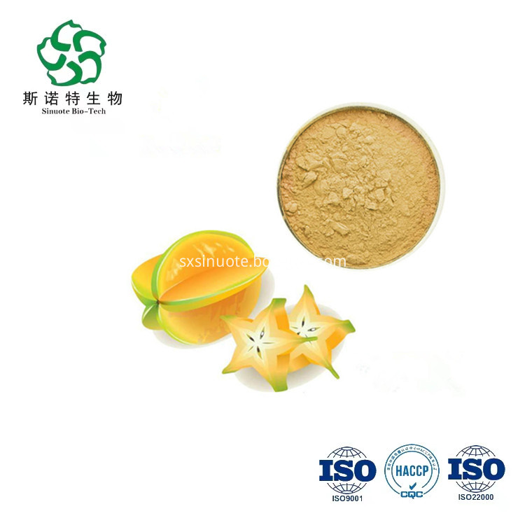Carambola Starfruit Powder Carambola Starfruit Powder