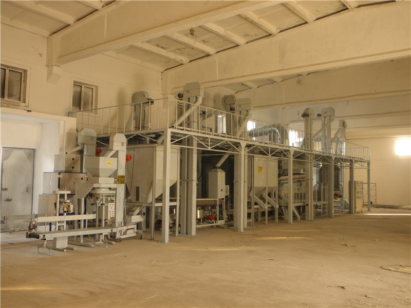 grain processing plant