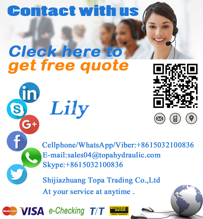 Lily Business Card Lily Business Card