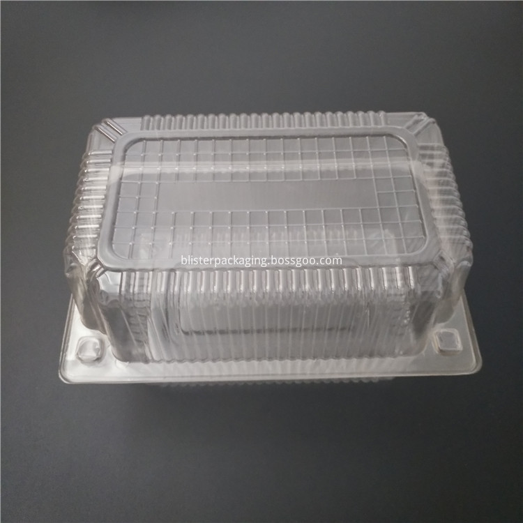 recipiente de torta biodegradable biodegradable cake container