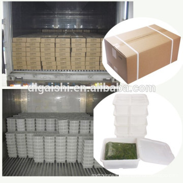 Wholesale Halal Fda Frozen Chuka Wakame Fresh Seaweed Salad China