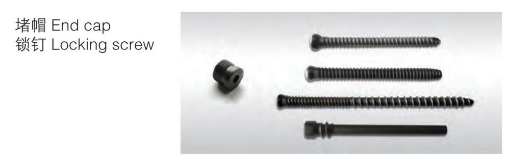 Muitifunctional End Cap Dan Locking Screw Muitifunctional End Cap And Locking Screw