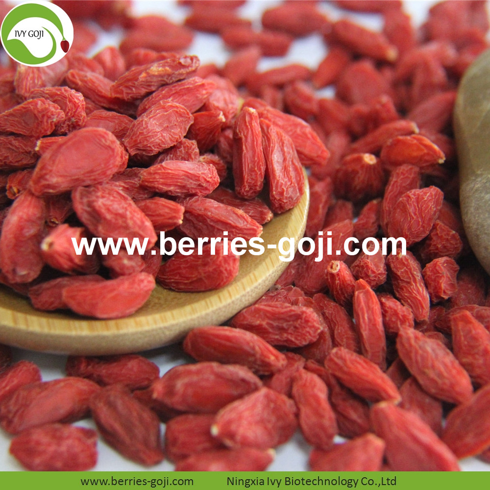 Goji Berries Goji Berries