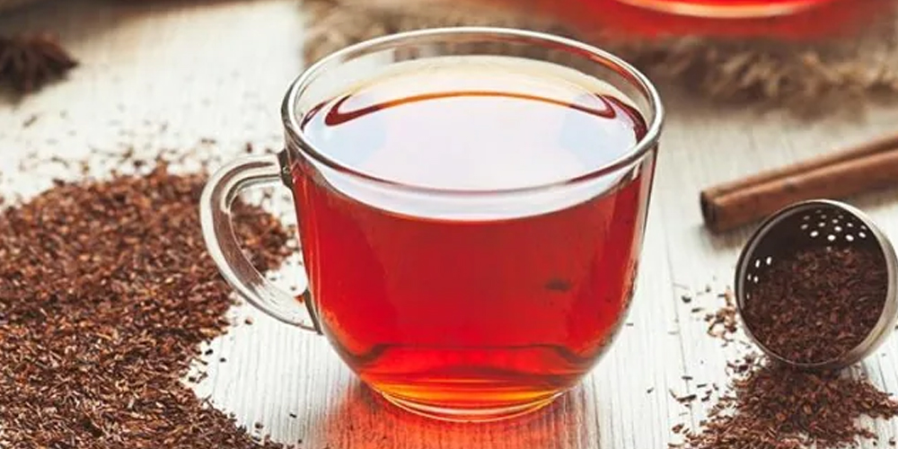 نبات rooibos نبات rooibos