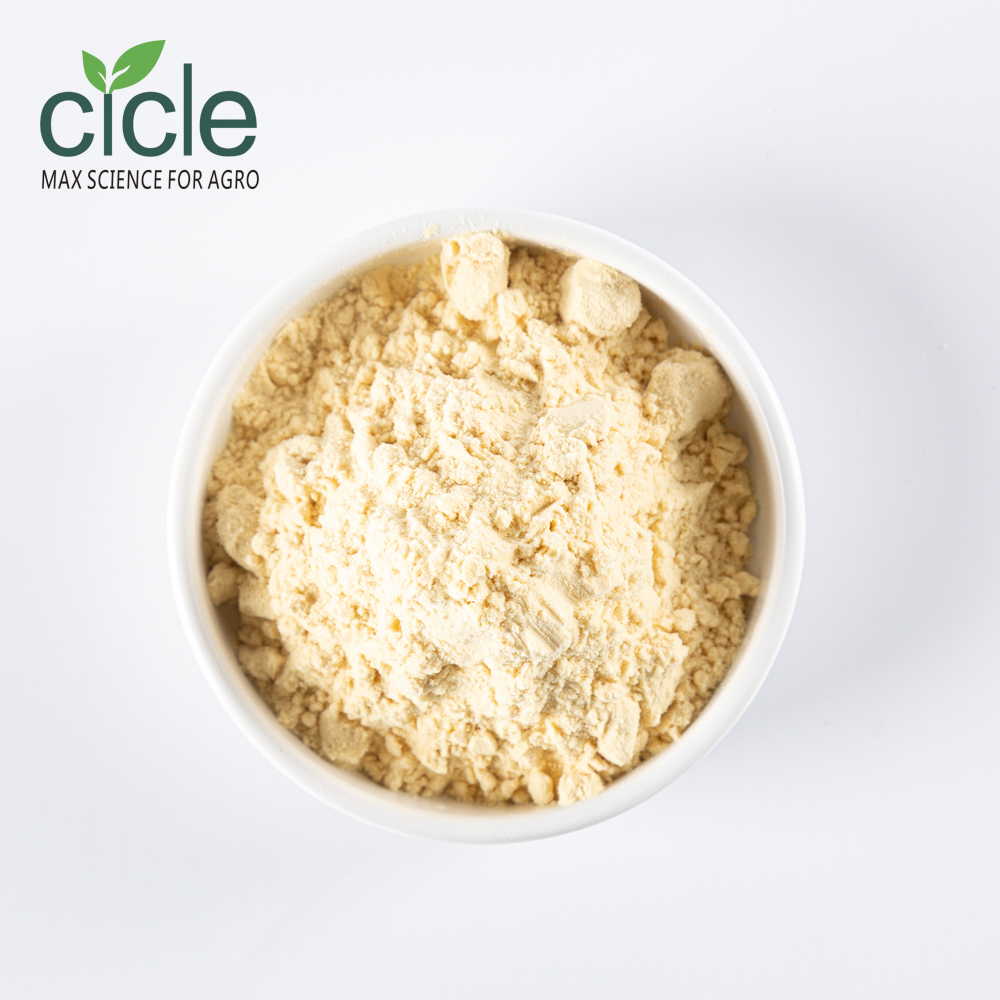 Chitosan Oligosaccharide Chitosan Oligosaccharide