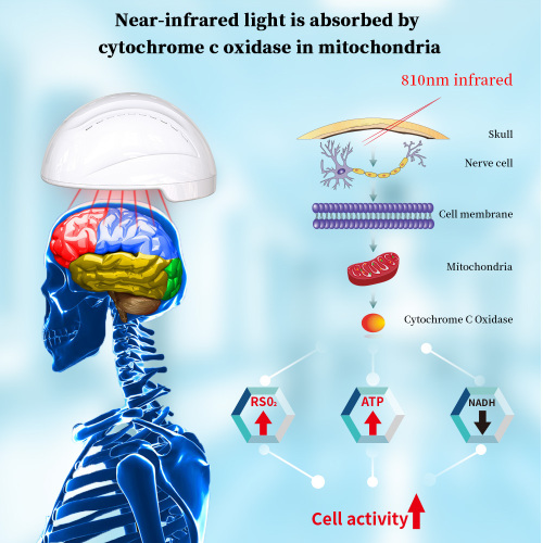 Biofeedback nerve and brain stimulation pbm helmet for Sale, Biofeedback nerve and brain stimulation pbm helmet wholesale From China