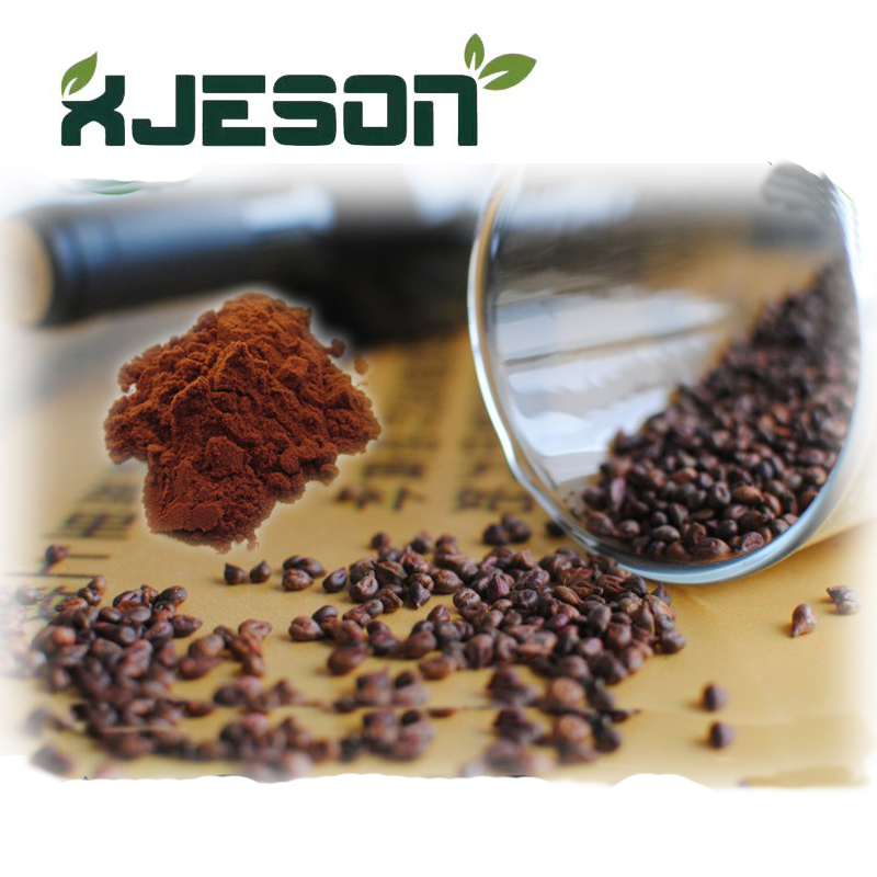 Grape Seed Extract Supplier Grape Seed Extract Supplier