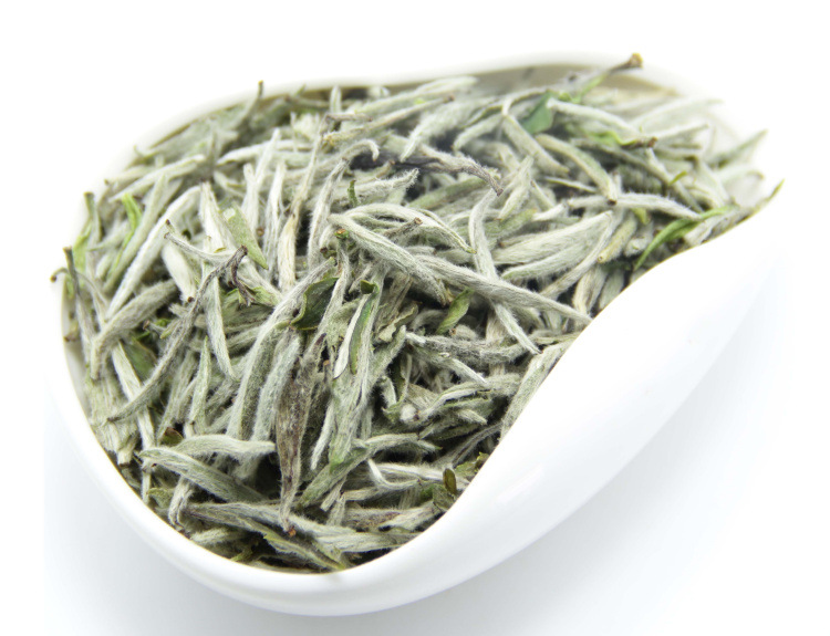 silver needle tea