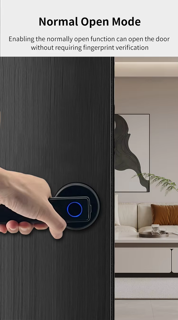 5 Finger print handle door lock 5 Finger print handle door lock