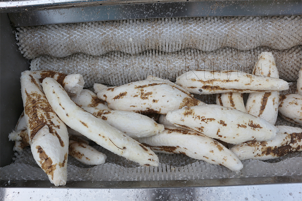 cassava peeling machine cassava peeling machine