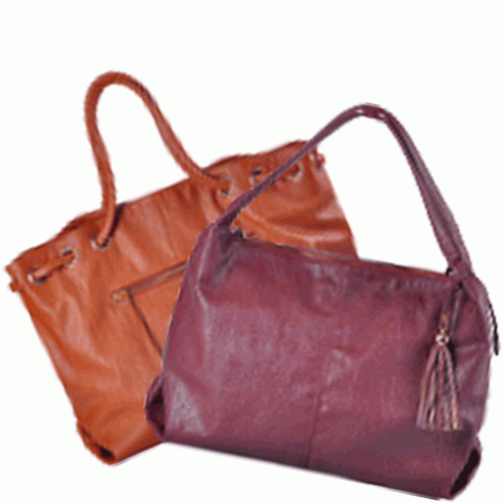 Women S Handbag