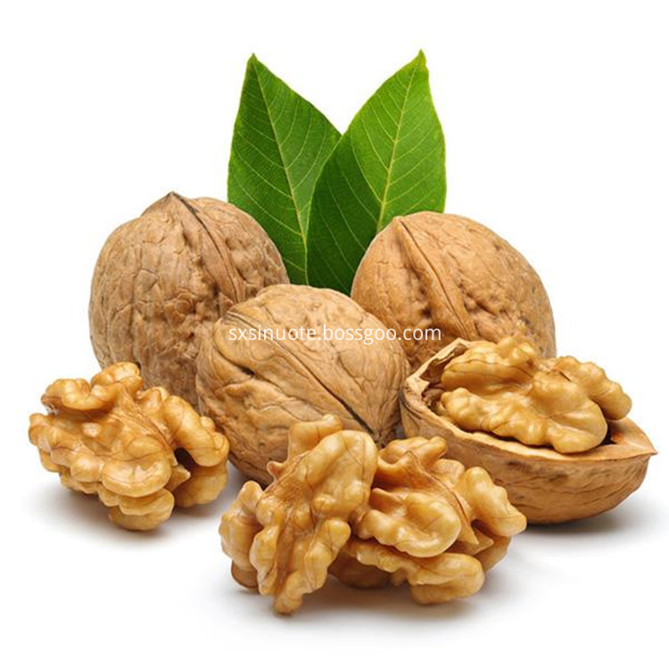 Walnut Protein Peptide Powder Walnut Protein Peptide Powder