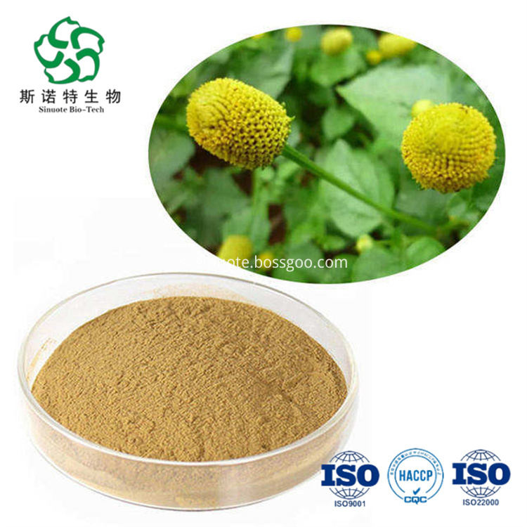 Acmella Oleracea Extract Acmella Oleracea Extract