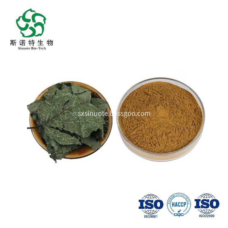 Eucommia Leaf Extract Eucommia Leaf Extract