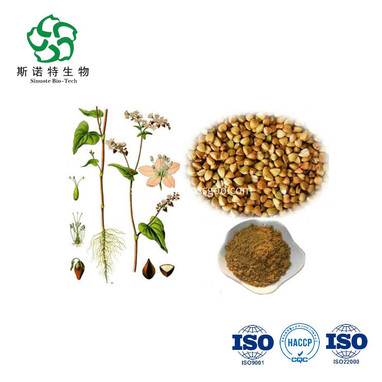 Tartary Buckwheat Extract Tartary Buckwheat Extract