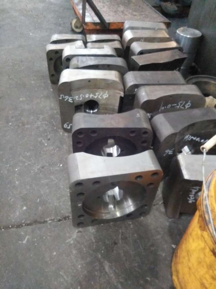 IMG_4938 2 IMG_4938 2