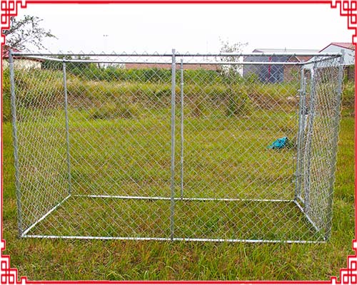 대형 체인 링크 개 개집 Large Chain link dog kennel